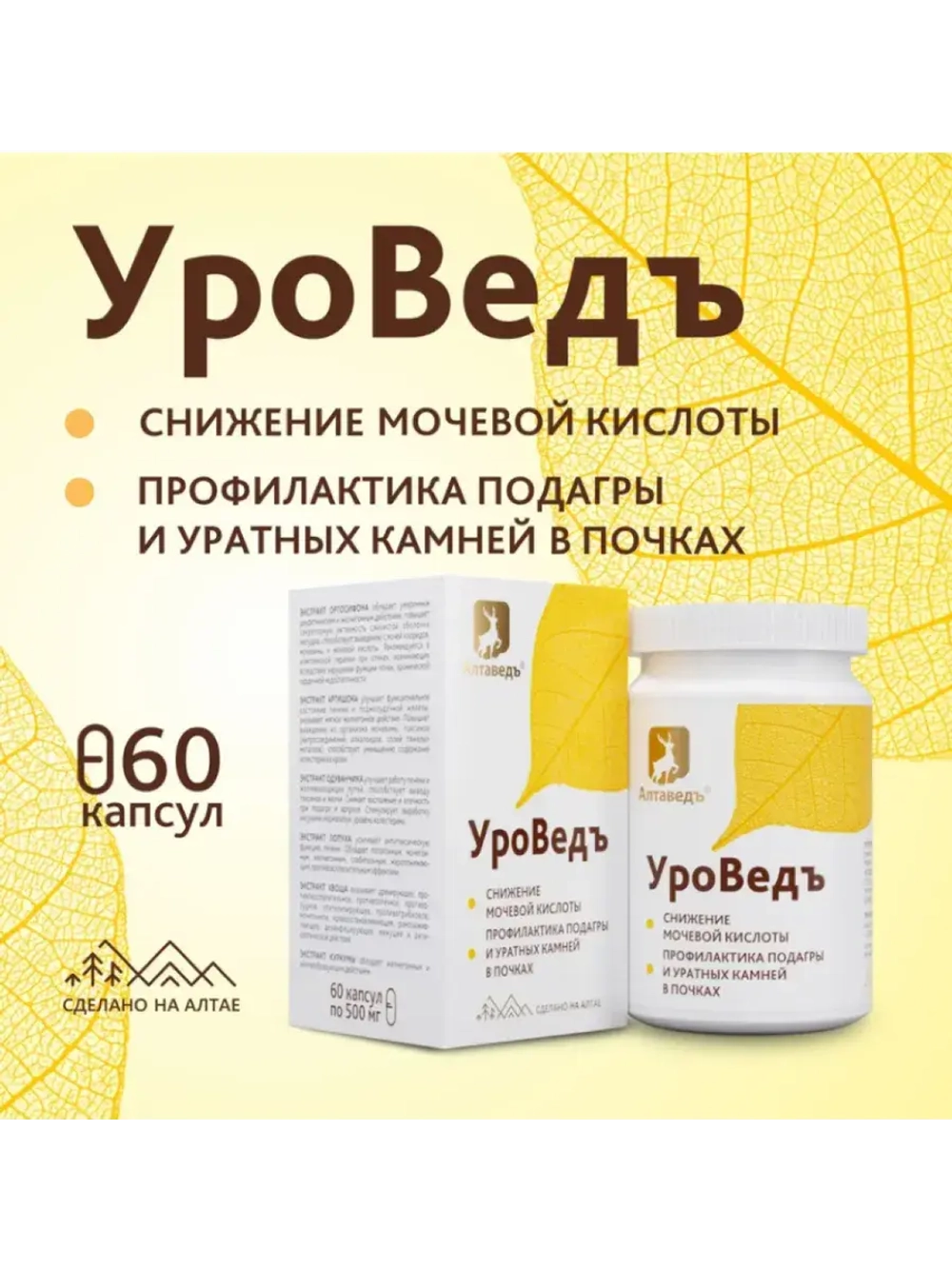 УроВедъ Для нормализации уровня мочевой кислоты Ортосифон