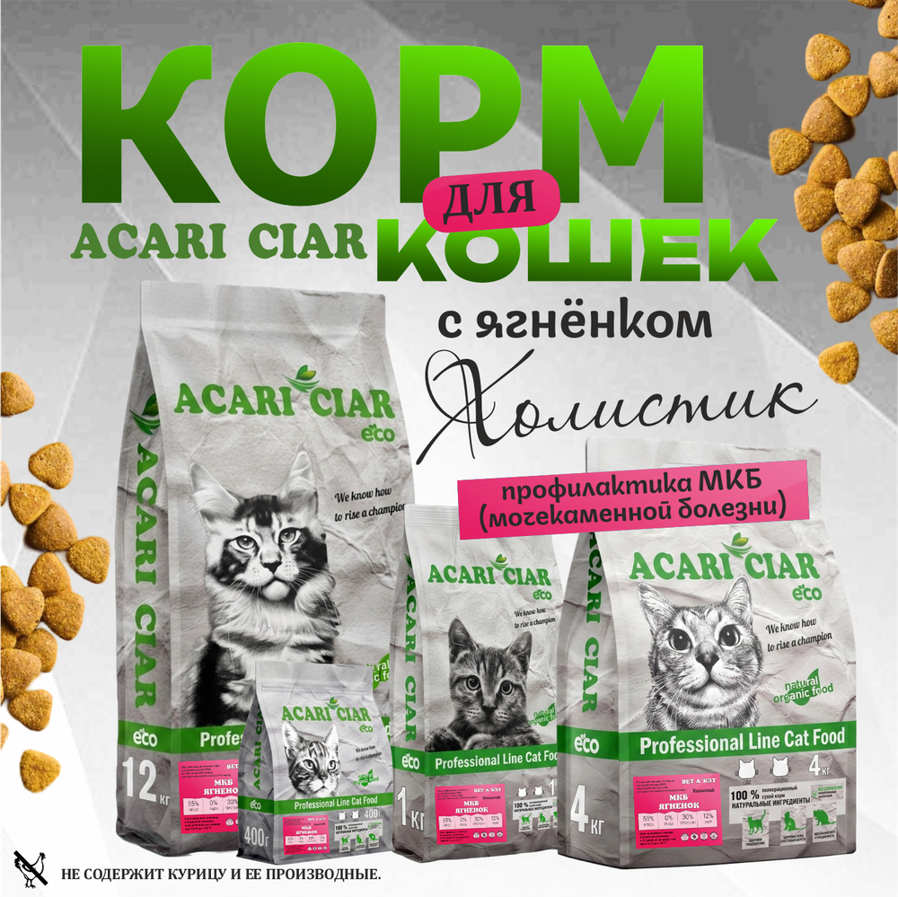 Acari Ciar ВЕТ А КЭТ МКБ Ягненок