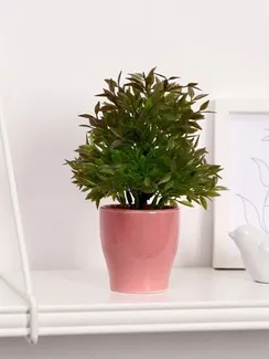 Бонсай "Кустовой" 7*18 см  МИКС