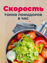 Соковыжималка шнековая электрическая для овощей и фруктов Tre Spade BIG-2P