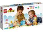 Конструктор LEGO Duplo 10991 Игровая площадка мечты