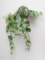 Настенная композиция в кашпо "Плющ"