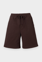 Carhartt WIP FLOYD  - Шорты - Коричневый