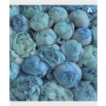 Тетрадь 48л., А5, клетка, Alingar "Нежные цветы", скрепка, мелованый картон ( стандарт), блок офсет, 5 дизайнов в пленке т/у