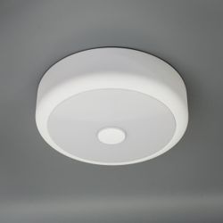 Citilux Фостер-1 CL706110 LED Светильник с диммером Белый