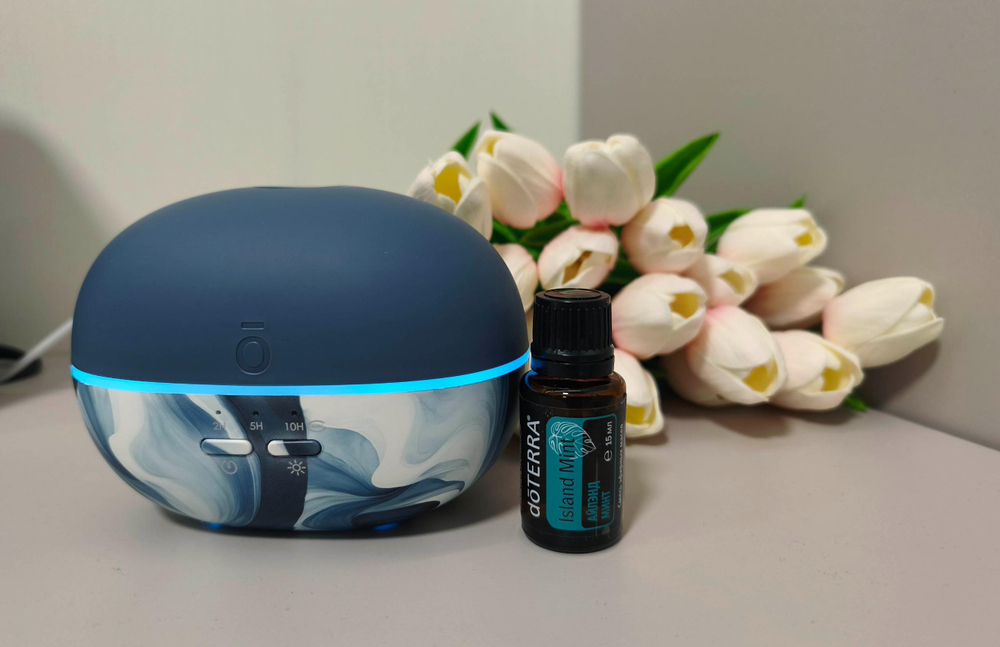 Набор dōTERRA «Аквамариновая весна» диффузор Pebble (100 мл) и смесь «Айлэнд минт» (15 мл)