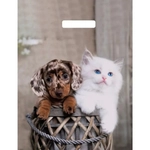 Пакет с вырубной ручкой 31см Пушистая парочка Глянцевый Артпласт (х50 (комплект 50 шт)