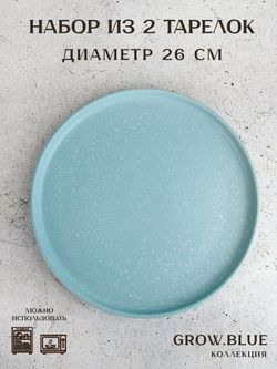 Набор из 2 шт тарелка "Grow.Blue" d=26 см (керамика) (индивидуальная упаковка)