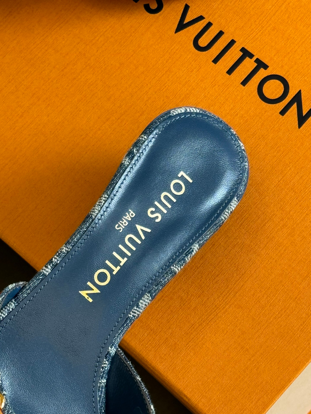 Louis Vuitton Neo Revival Mule