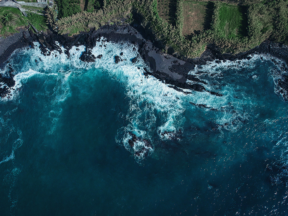 Дизайнерские обои Wall Street Bird see