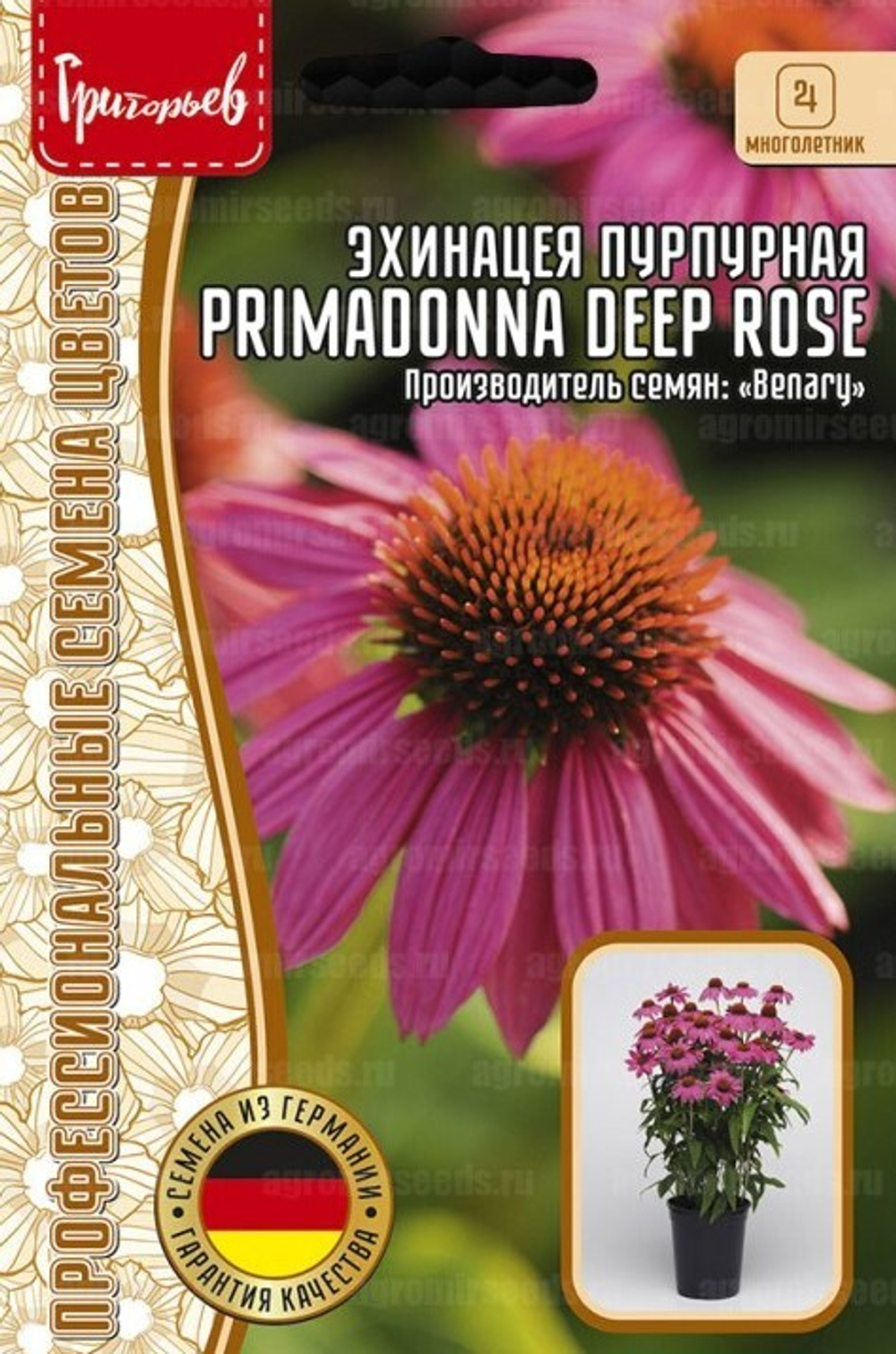 Эхинацея Primadonna Deep Rose пурпурная