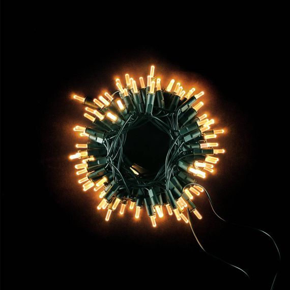 Светодиодная нить Самоцветы 100 теплых белых LED ламп, 10 м., 220В, зеленый провод, Beauty Led (SAM100-13-2WW)