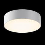 Уличный потолочный светильник Outdoor O431CL-L30W3K