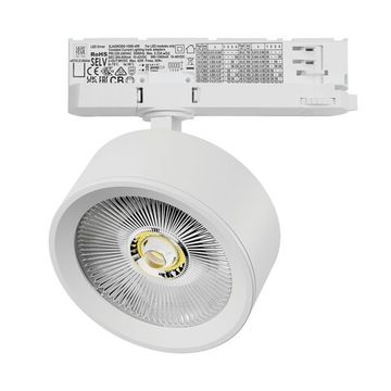 Светильник для трековой системы Quattro LED с адаптером 30W 3000K A5636QT белый Alta Pro Lightstar