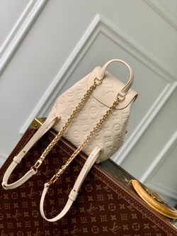 Louis Vuitton Backup