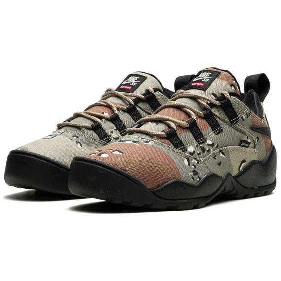 NIKE SB Darwin Повседневная обувь Низкий Топ Камуфляж Мужская