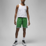 Шорты Jordan Logo, DX1487-310