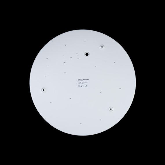 Потолочный светодиодный светильник Loft IT Axel 10003/24 white