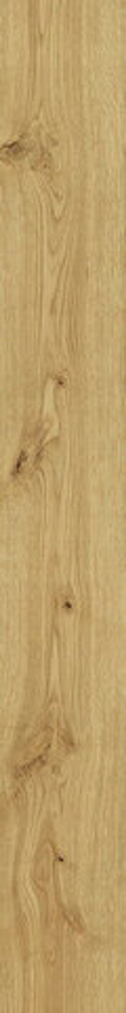 Atlas Concorde Exence Almond 18.5x150