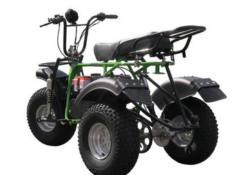 Трицикл ТРИТОН 2, САФАРИ 3LЕ-9 (длинное седло)