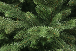 Ель искуственная Царь елка Сапфир 185 см