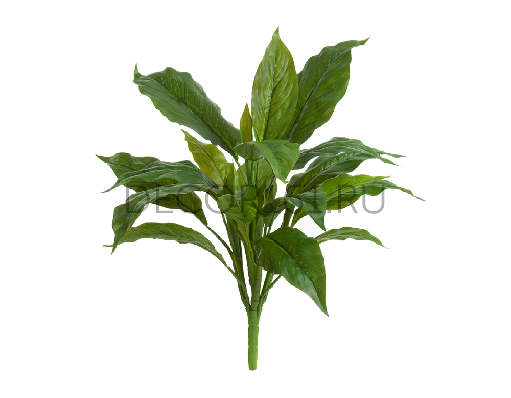 Спацифилум куст Мидл зелёный в-35 см (Sensitive Botanic) 12/96 20.1153N