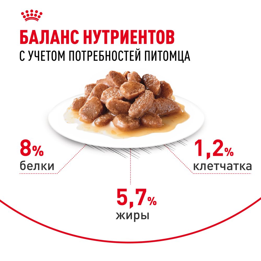 Пауч Royal Canin Mini Ageing 12+ для стареющих собак мелких размеров в возрасте старше 12 лет Пауч Royal Canin Mini Ageing 12+ для стареющих собак мелких размеров в возрасте старше 12 лет