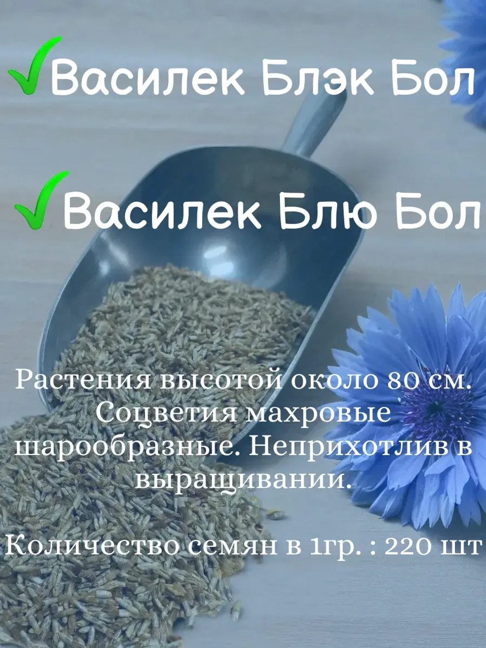 Семена Набор Васильки для Сада