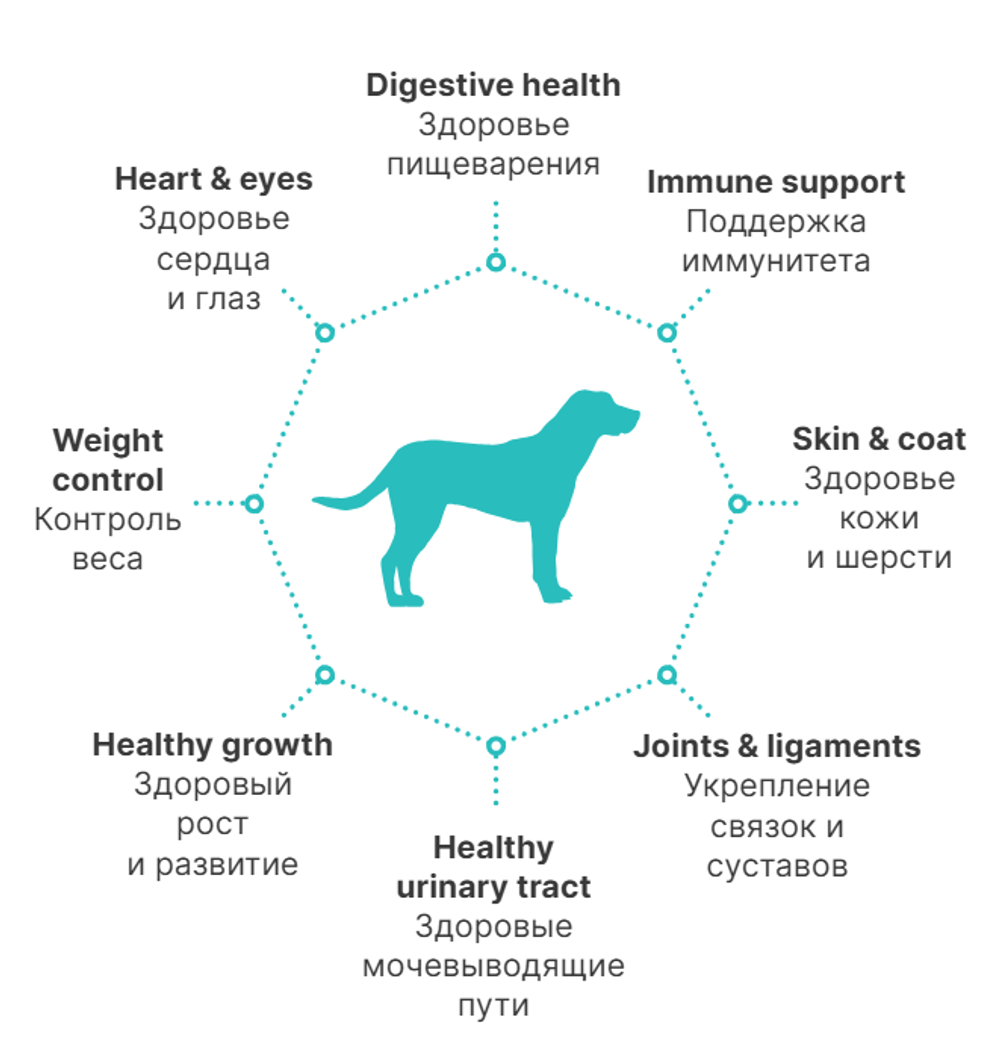 PREMIER Свежее мясо ягненка с индейкой для взрослых собак крупных пород