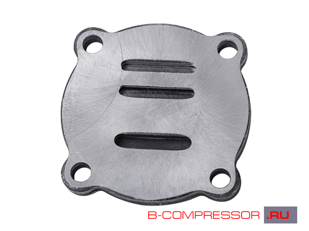 Клапанная группа 21124013 Remeza LH 20-2, LB 30-2, LB 40-3