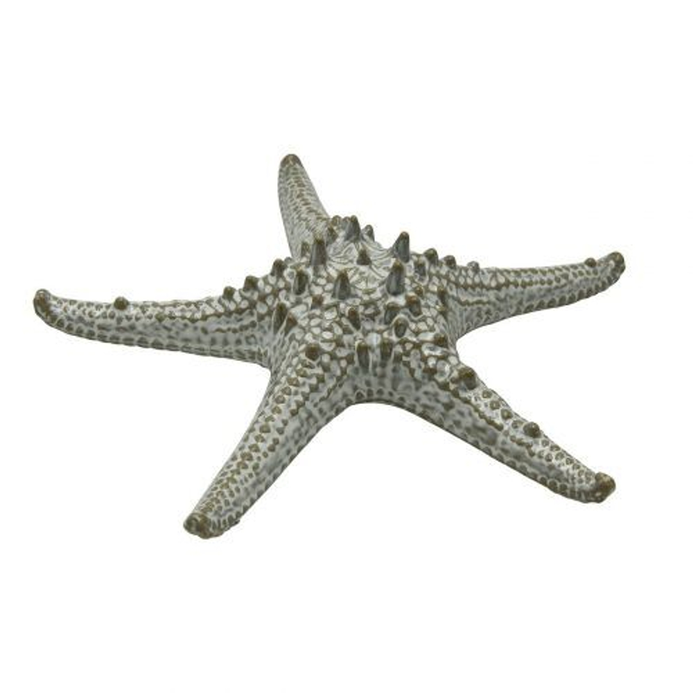 blyudo-zvezda-24-sm-keramika-frutti-di-mare-p-l-lg