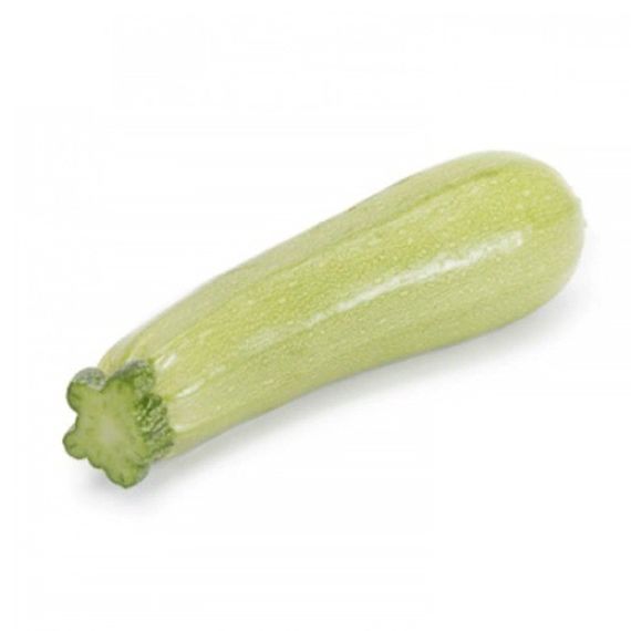 МАНИШЕС F1 семена кабачка Rijk Zwaan отзывы