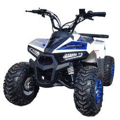 Квадроцикл YACOTA Raposa