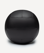 Медбол INSANE IN24-WB100, 6 кг, синий