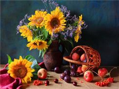 Nömrələr ilə rəngləmə \ Картина по номерам E772