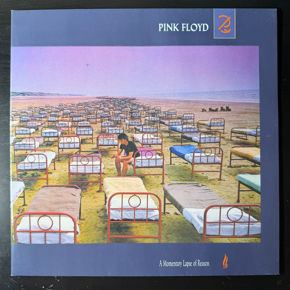 Виниловая пластинка Pink Floyd - A Momentary Lapse Of Reason LP