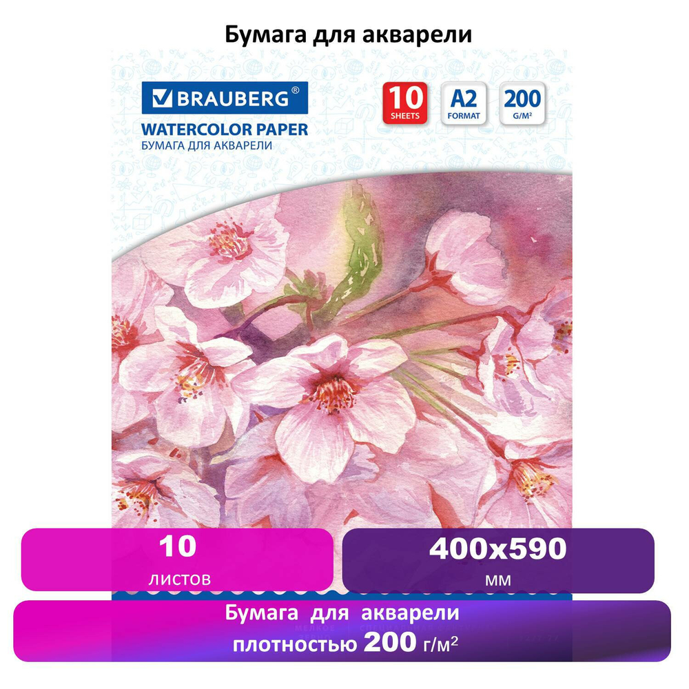 Бумага для акварели БОЛЬШАЯ А2 10 л. 200 г/м2 400х590 мм BRAUBERG "Цветы" (3 штуки в упаковке)
