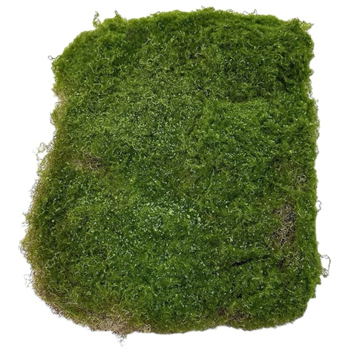 Мох на плетеном основании 50Х50 см.
