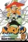 Naruto, Vol. 12: The Great Flight