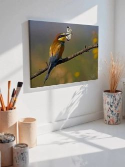 Картина на стену 40 X 50 Птица и бабочка