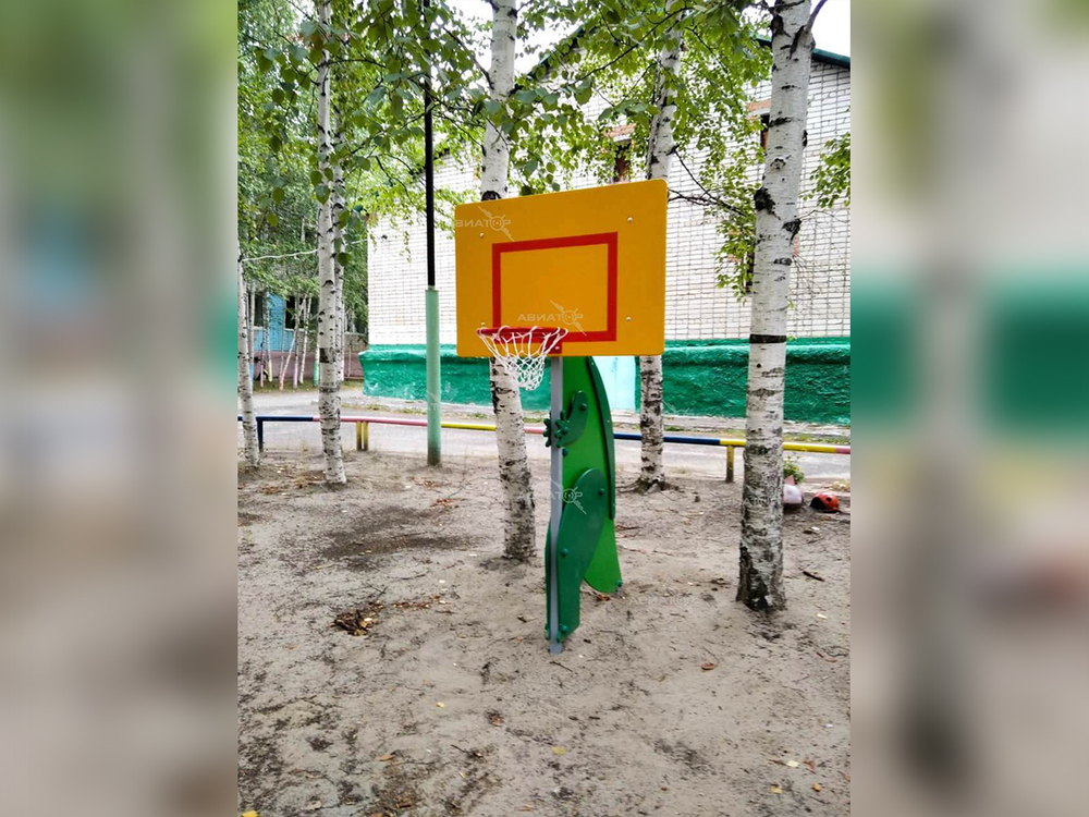 Стойка с баскетбольным щитом «Дино»