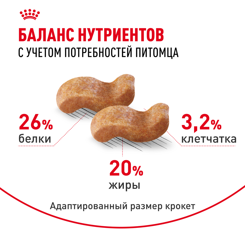 Royal Canin Boxer Adult (БОКСЕР ЭДАЛТ) Корм сухой для взрослых и стареющих собак породы боксер от 15 месяцев 12 кг