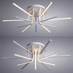 Накладной светильник ARTE Lamp A6207PL-12WH