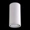 Уличный светильник Crystal Lux CLT 138C180 WH