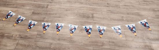 Гирлянда на ленте "С Днем Рождения!", Холодное сердце