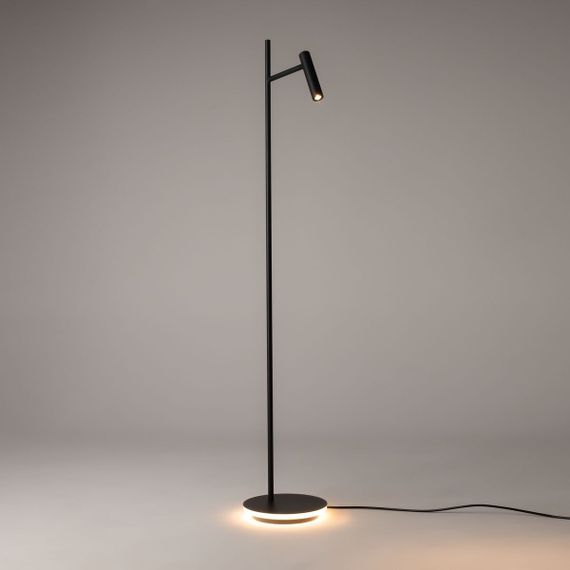 Торшер Maytoni Estudo Z010FL-L8B3K