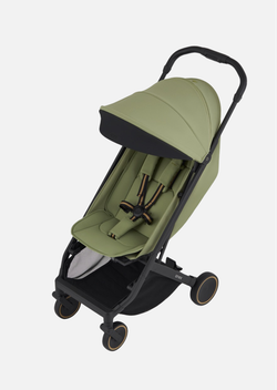 Anex Прогулочная коляска AIR-X2 Vert