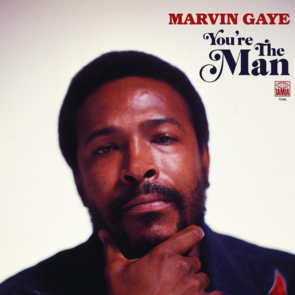 Marvin Gaye / You're The Man (2LP)