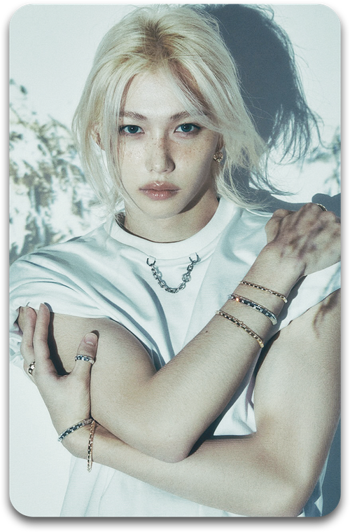 Карта / STRAY KIDS #1988