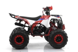 Квадроцикл MOTAX GRIZLIK A125